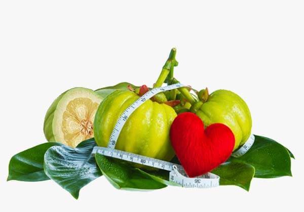 You are currently viewing How Garcinia Cambogia Extract Supports Weight loss ?